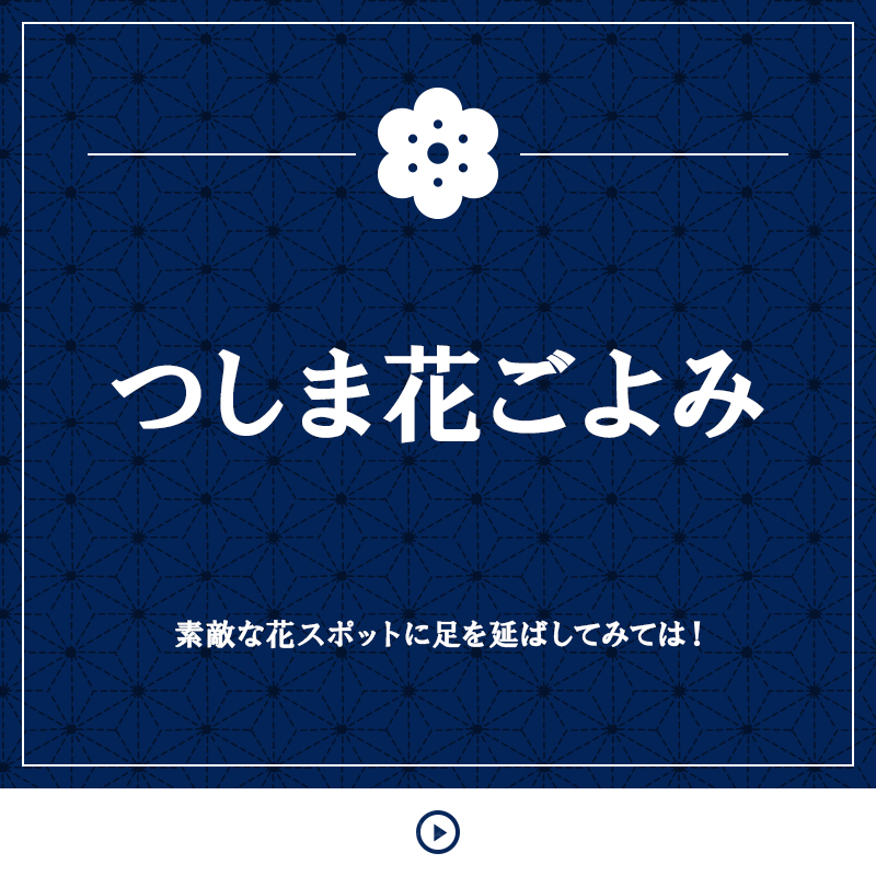 つしま花ごよみ 素敵な花スポットに足を延ばしてみては！