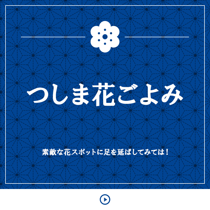 つしま花ごよみ 素敵な花スポットに足を延ばしてみては！